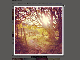 jquery.fancybox-简单易用的灯箱特效jquery插件